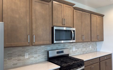 New construction Single-Family house 6871 Spanish Imperial St, Howey-in-the-Hills, FL 34737 plan DeLeon - image 8