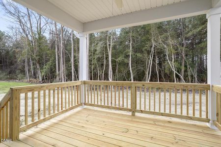 New construction Single-Family house 174 Harriette Ct, Lillington, NC 27546 plan Telfair - image 4