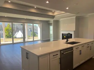 New construction Single-Family house 1081 Lake Terrace Bnd, Greensboro, GA 30642 plan Stardom - image