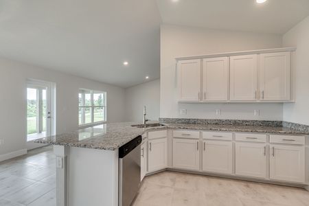 New construction Single-Family house 3404 N Michener Pt, Beverly Hills, FL 34465 null- photo 20 20