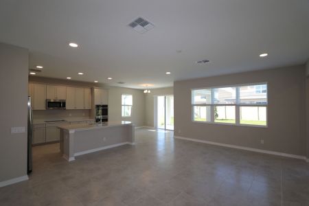 New construction Single-Family house 9489 Seagrass Port Pass, Wesley Chapel, FL 33545 Alenza- photo 69 69