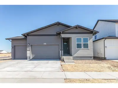 New construction Single-Family house 872 Trumpet Ct, Windsor, CO 80550 plan Christie - image 2