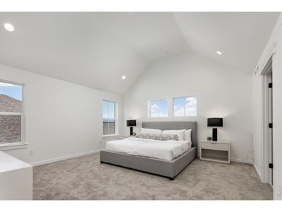 New construction Single-Family house 1651 Poplar Dr, Erie, CO 80516 plan Homestead Series Highland  - image 9