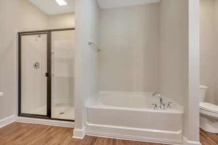 New construction Single-Family house Richmond Hill, GA 31324 plan Laurel - image 16