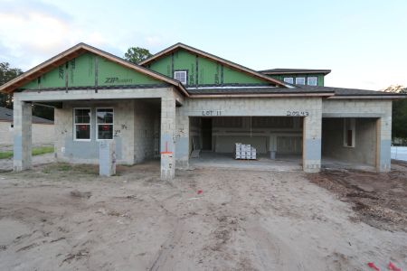 New construction Single-Family house 20243 Oriana Loop, Land O' Lakes, FL 34638 Corina  III Bonus- photo 41 41