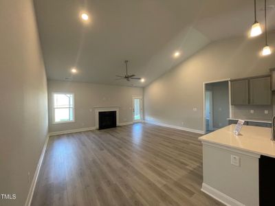 New construction Single-Family house 9216 Byron Court, Unit Lot 213, Bailey, NC 27807 - photo 2 2