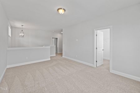 New construction Single-Family house 9168 Dupree Meadow Dr, Unit 15, Angier, NC 27501 - image 15