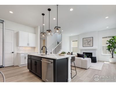 New construction Single-Family house 1651 Poplar Dr, Erie, CO 80516 plan Homestead Series Highland  - image 12