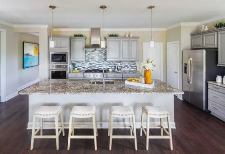 Trilogy® Lake Norman by Shea Homes in Denver - photo 38 38