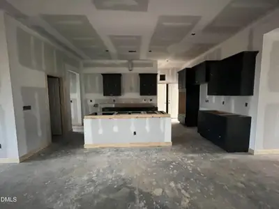 New construction Single-Family house 2068 Bull City Bnd, Unit 369, Durham, NC 27703 plan Davis - Vanguard Collection - image 12