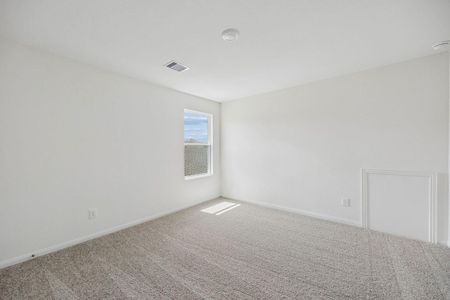 New construction Single-Family house 25186 Pomegranate Pl, Montgomery, TX 77316 - image 15