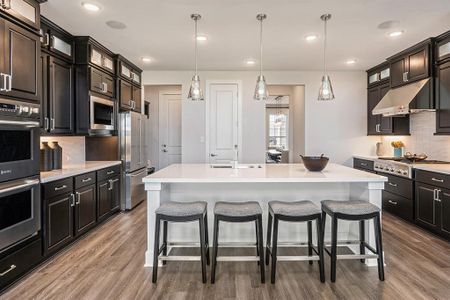 New construction Single-Family house 886 Two Creeks Ln, Austin, TX 78737 Sapphire- photo 16 16