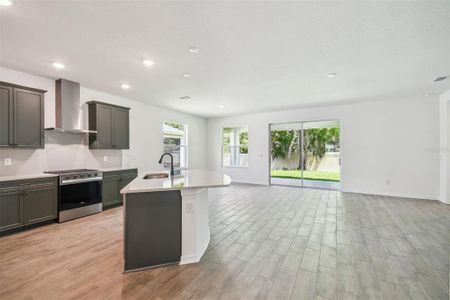 New construction Single-Family house 19591 Fort King Run, Brooksville, FL 34601 plan Elmwood - image 11