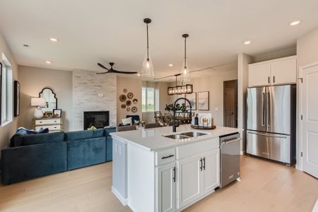 New construction Single-Family house 13788 Daffodil Wy, Parker, CO 80134 plan Denali - image 10