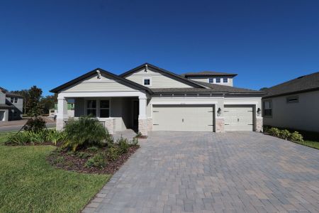 New construction Single-Family house 20112 Oriana Loop, Land O' Lakes, FL 34638 Corina  III Bonus- photo 99 99