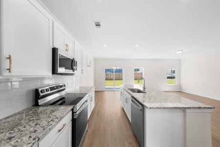 New construction Single-Family house 218 Somera Ln, Statesboro, GA 30461 plan The Birch - image 9