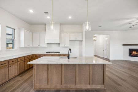 New construction Single-Family house 2417 Rams Horn Dr, Waxahachie, TX 75167 plan Sommerset - image 8