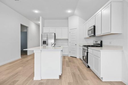 New construction Single-Family house 222 Spirit St, Elgin, TX 78621 plan Redbud | Trinity Ranch - image 13