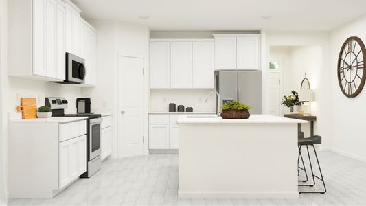 Sierra Bonus kitchen