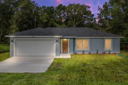New construction Single-Family house 24015 Nw Amberjack Ave, Dunnellon, FL 34431 - image