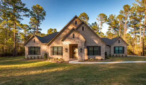 New construction Single-Family house 8915 Cedar Meadow Ln, Plantersville, TX 77363 plan 3015 - image