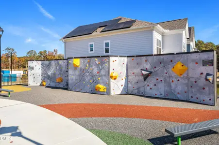 New construction Single-Family house 133 Blanche Wy, Chapel Hill, NC 27514 - image