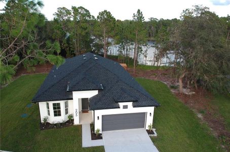 New construction Single-Family house 205 Rosedale Dr, Deltona, FL 32738 - image