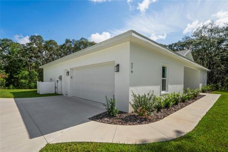 New construction Single-Family house 279 W Pearson St, Hernando, FL 34442 - image 10