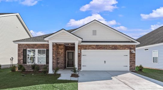 New construction Single-Family house 3357 Wood Stork Dr Sw, Ocean Isle Beach, NC 28469 plan LITCHFIELD II - image