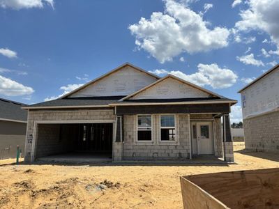 New construction Single-Family house 900 Pointe Emerson Boulevard, Apopka, FL 32703 Capistrano II - Eco Series- photo 0