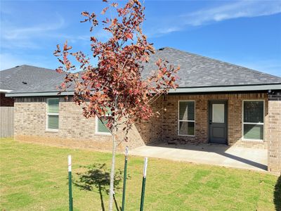New construction Single-Family house 4713 Allison Dr, Belton, TX 76513 - image 3