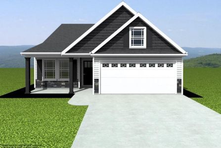 New construction Single-Family house 333 Bellrock Rd, Inman, SC 29349 - image