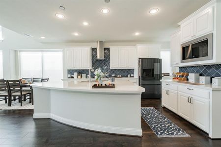New construction Single-Family house 1725 Frisco Hills Blvd, Little Elm, TX 75068 null- photo 8 8