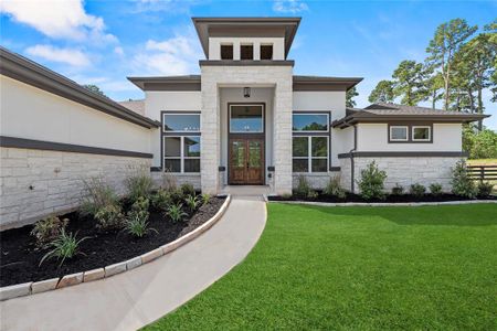 New construction Single-Family house 8816 Cedar Meadow Lane, Plantersville, TX 77363 - photo 2 2