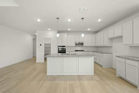 New construction Single-Family house 732 Brozgold Ave, Midlothian, TX 76065 Seville Single Story- photo 13 13