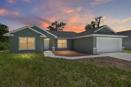 New construction Single-Family house 10138 Sw 130Th Ct, Dunnellon, FL 34432 - image