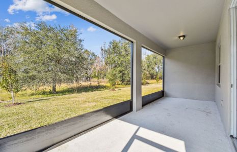 New construction Single-Family house 1243 Kazaz Ct, Zephyrhills, FL 33540 Medina- photo 38 38