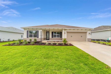 New construction Single-Family house 10061 Sw 106Th Cir, Ocala, FL 34481 - image