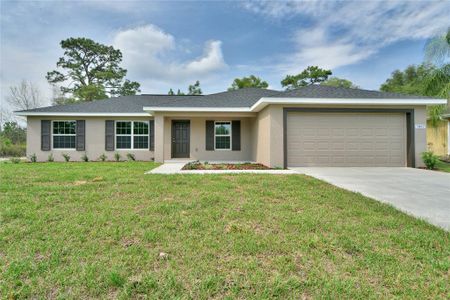 New construction Single-Family house 6047 Sw 128Th Street Rd, Ocala, FL 34473 Banyan- photo 0