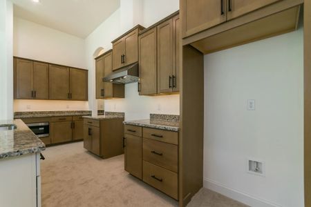 New construction Single-Family house 28 Rosehill Ct, St. Augustine Shores, FL 32092 plan 2984 - image 17