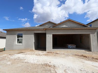 New construction Single-Family house 12194 Stirrup Dr, Dade City, FL 33525 plan Maui - image