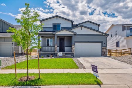 New construction Single-Family house 813 Hummocky Way, Windsor, CO 80550 Avon- photo 0