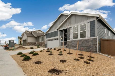 New construction Single-Family house 1904 Water Birch Way, Castle Rock, CO 80108 - photo 0