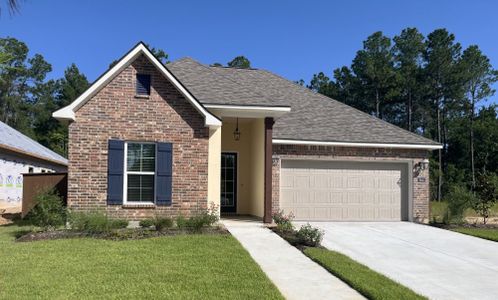 New construction Single-Family house 9545 Persimmon Pl, Lumberton, TX 77657 plan Tandem II B - image