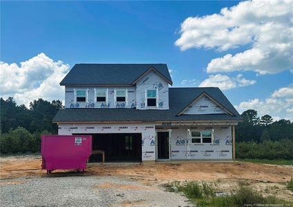 New construction Single-Family house 201 Collier Gate St, Linden, NC 28356 plan Phoenix - image