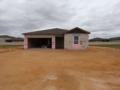 New construction Single-Family house 12316 Stirrup Dr, Dade City, FL 33525 plan Ventura - image