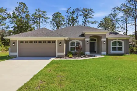 New construction Single-Family house 3 Stokesia Ct, Homosassa, FL 34446 - image