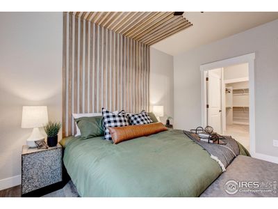 New construction Multi-Family house 1014 Birdwhistle Ln, Unit 10, Fort Collins, CO 80524 plan Shavano - image