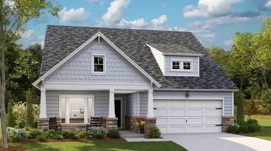 New construction Single-Family house 1646 Locals St, Summerville, SC 29485 plan COLLINS - image