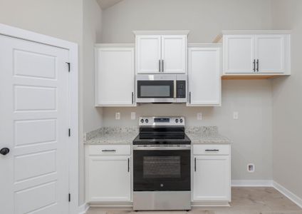 New construction Single-Family house 6261 Piney River Rd, Dickson, TN 37055 plan Juniper - image 5